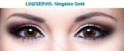 Ningaloo Gold цветные линзы (1 шт.) 